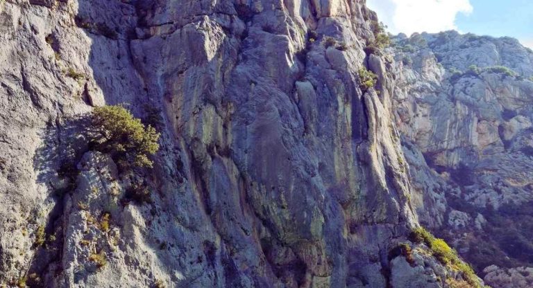 Falaises calcaires abruptes des gorges du Verdon sous le soleil