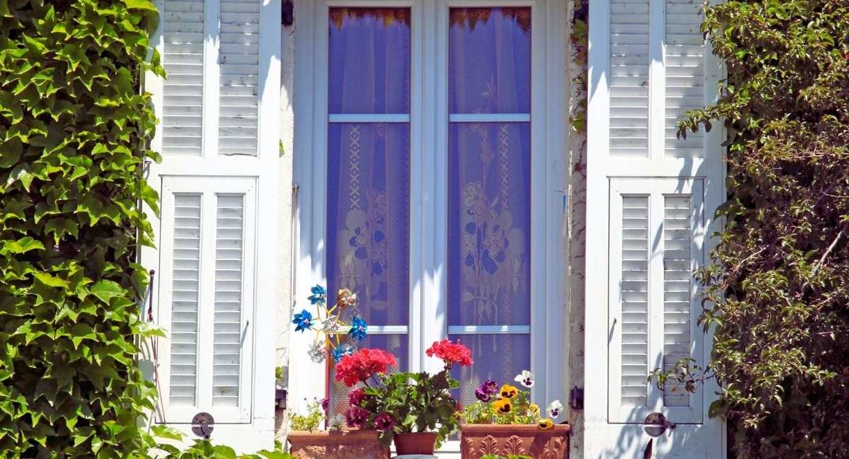 Fenetre a volets blancs bordee de lierre avec des geraniums en pots