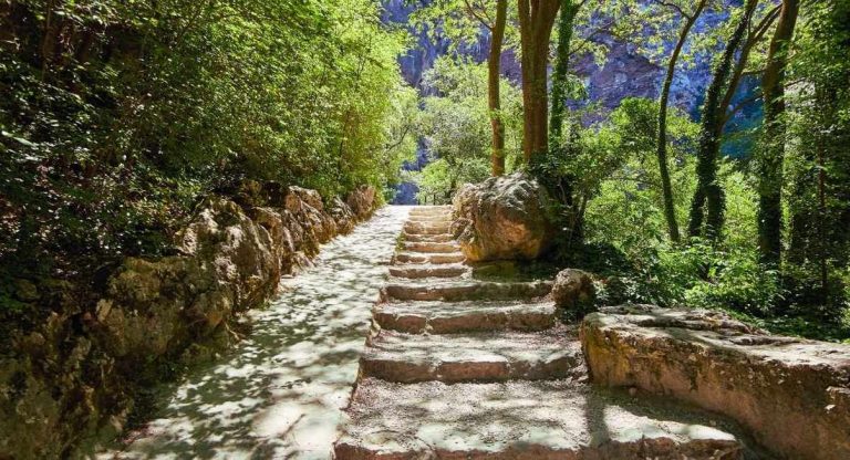 Sentier en pierre ombrage par les arbres menant au pied d une falaise