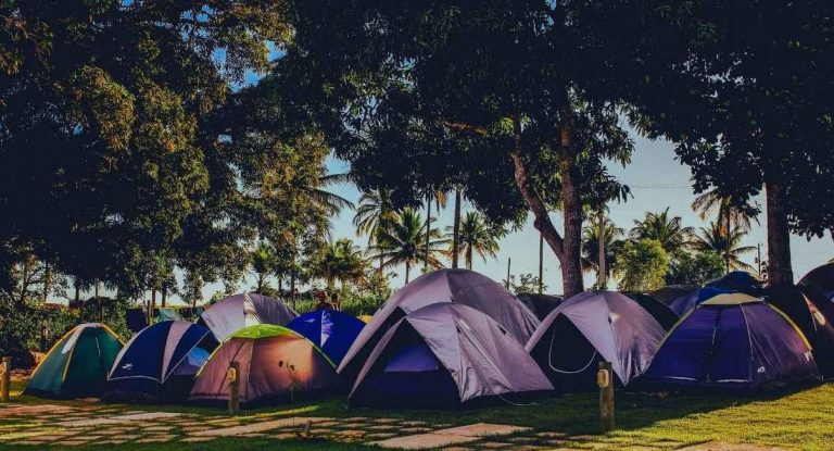 Tentes de camping installées à l'ombre des arbres sur un emplacement herbeux