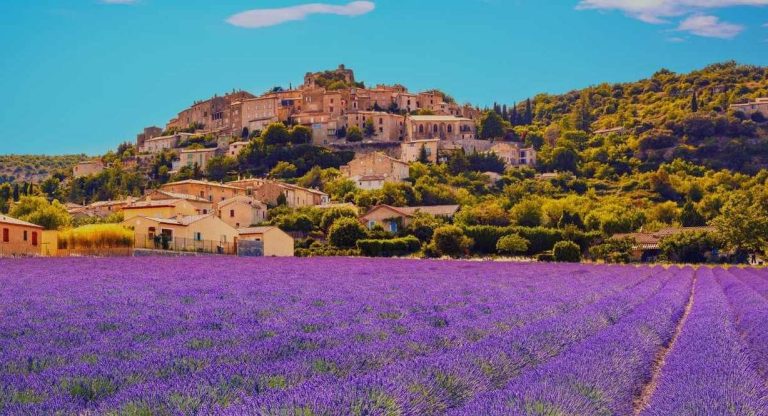 Champ de lavande en fleur en été au pied d'un village perché de Provence