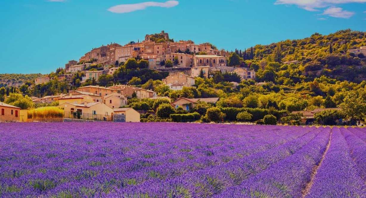Champ de lavande en fleur en été au pied d'un village perché de Provence